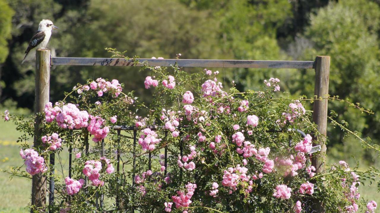 La Dolce Vita Beechmont Zewnętrze zdjęcie